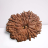 14 मुखी रुद्राक्ष के लाभ - 14 mukhi rudraksha benefits in hindi - Image 2