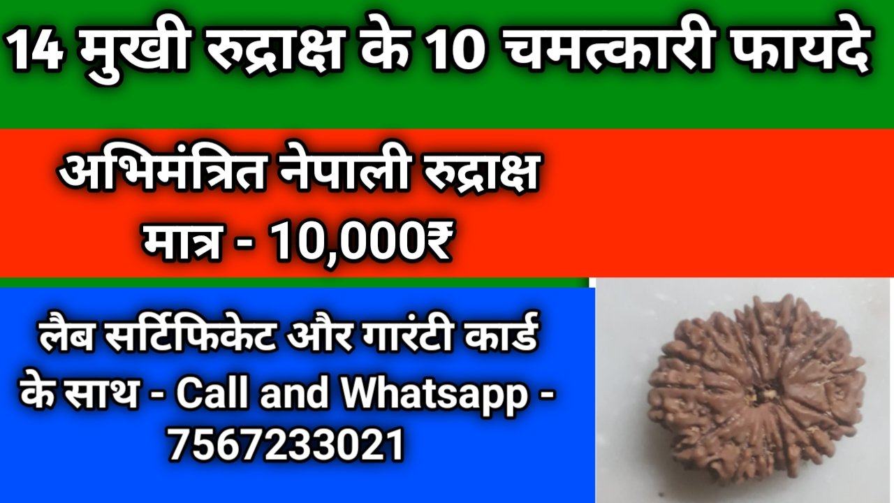 14 मुखी रुद्राक्ष पहनने के फायदे, 14 मुखी रुद्राक्ष का महत्व, 14 मुखी रुद्राक्ष के लाभ, 14 मुखी रुद्राक्ष के बारे में बताइए, 14 मुखी रुद्राक्ष के फायदे, 14 मुखी रुद्राक्ष के बारे में बताएं, 14 mukhi rudraksha benefits in hindi, 14 mukhi rudraksha ke fayde, 14 mukhi rudraksh ka mahatva
