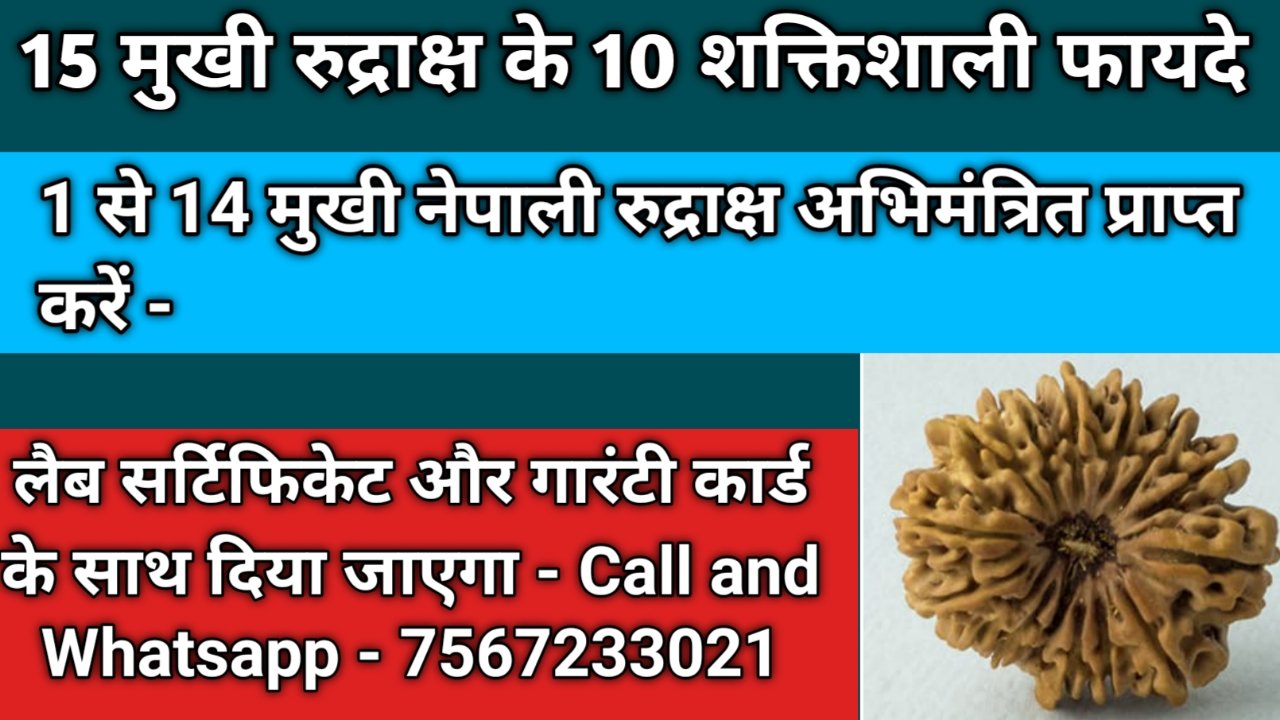 15 मुखी रुद्राक्ष के लाभ, 15 मुखी रुद्राक्ष के फायदे, 15 मुखी रुद्राक्ष पहनने के फायदे, 15 mukhi rudraksha benefits in hindi, 15 mukhi rudraksha ke fayde, 15 mukhi rudraksh ke fayde